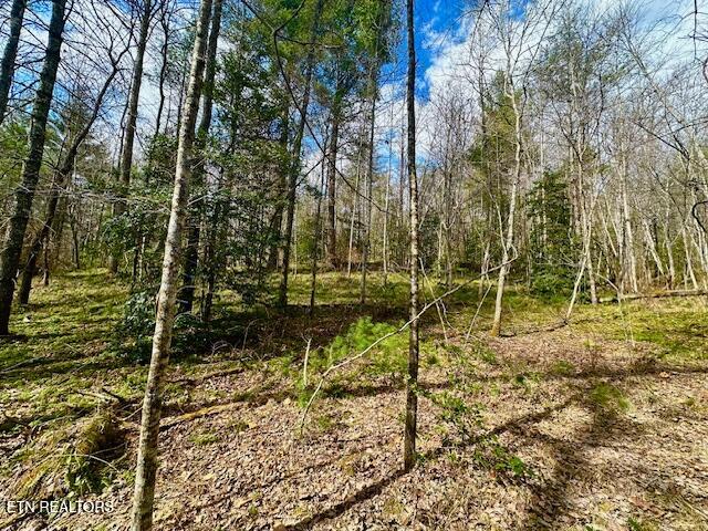 144 Gunter Place Place