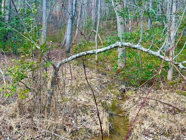 144 Gunter Place Place