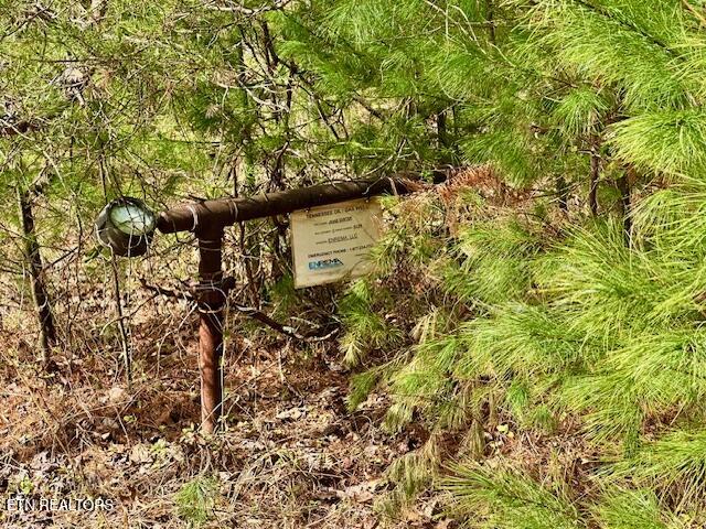 144 Gunter Place Place