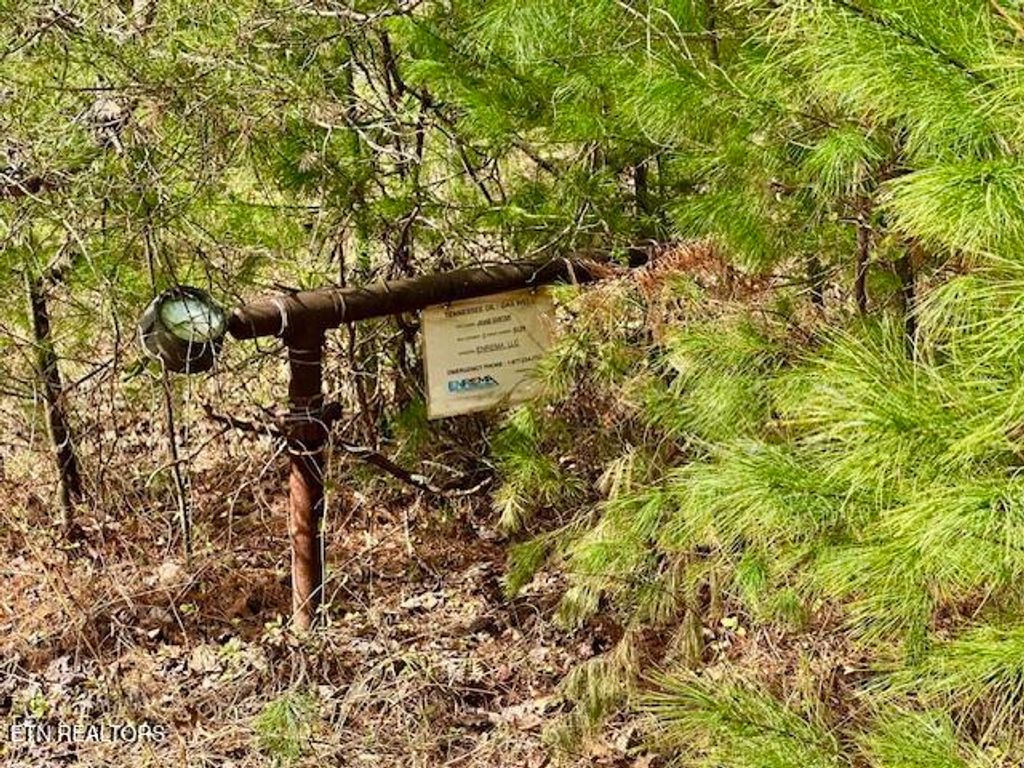 Photo of 144 Gunter Place Place, Sunbright, TN 37872 (MLS # 1293669)