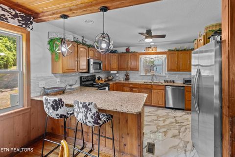 Tiny photo for 2759 Wildwood Rd, Dandridge, TN 37725 (MLS # 1333730)