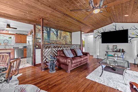 Tiny photo for 2759 Wildwood Rd, Dandridge, TN 37725 (MLS # 1333730)