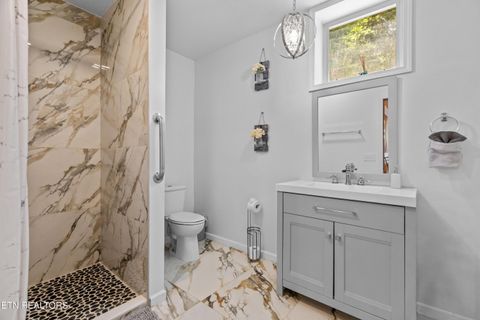 Tiny photo for 2759 Wildwood Rd, Dandridge, TN 37725 (MLS # 1333730)