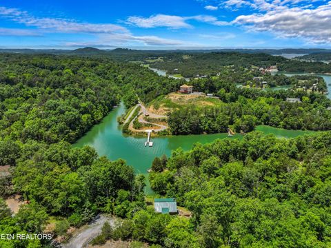 Tiny photo for 2759 Wildwood Rd, Dandridge, TN 37725 (MLS # 1333730)