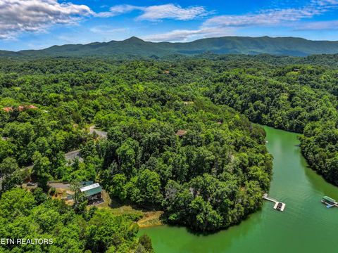 Tiny photo for 2759 Wildwood Rd, Dandridge, TN 37725 (MLS # 1333730)