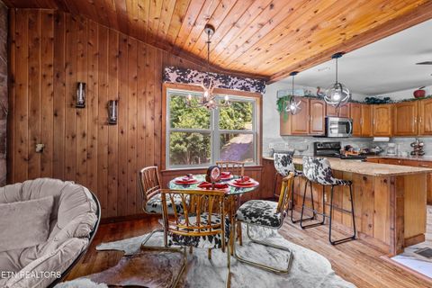 Tiny photo for 2759 Wildwood Rd, Dandridge, TN 37725 (MLS # 1333730)