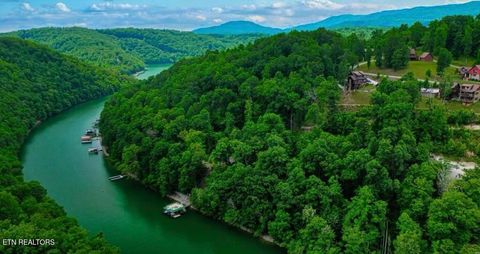 Tiny photo for Hiawatha Lane, Caryville, TN 37714 (MLS # 1332707)