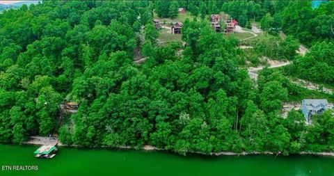 Tiny photo for Hiawatha Lane, Caryville, TN 37714 (MLS # 1332707)