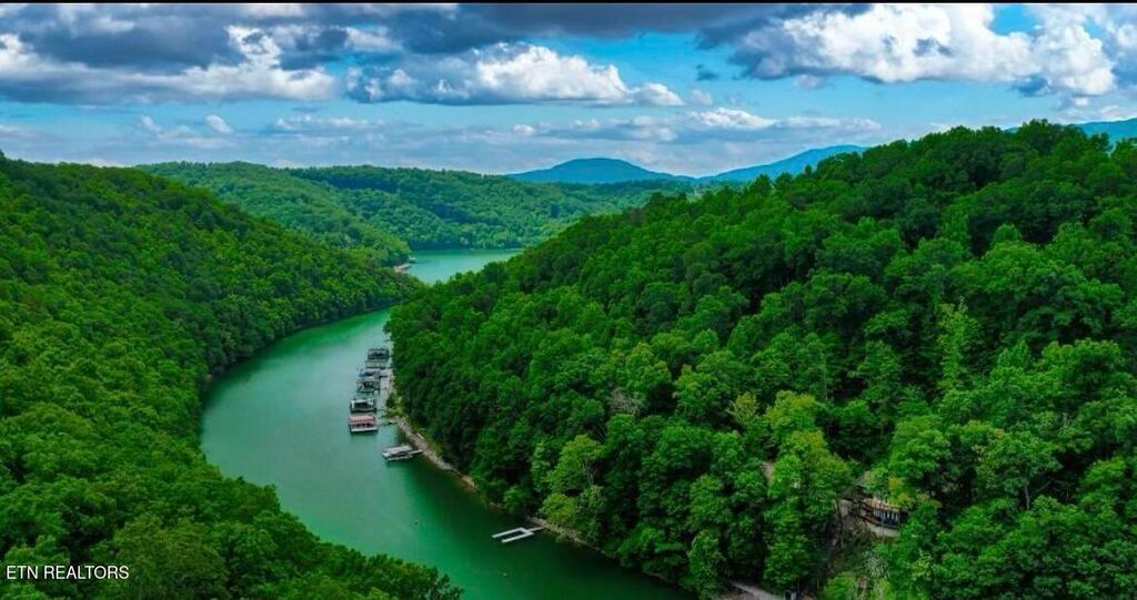 Photo of Hiawatha Lane, Caryville, TN 37714 (MLS # 1332707)