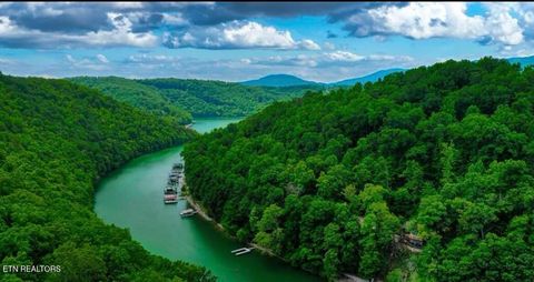 Tiny photo for Hiawatha Lane, Caryville, TN 37714 (MLS # 1332707)