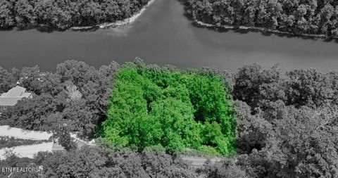 Tiny photo for Hiawatha Lane, Caryville, TN 37714 (MLS # 1332707)