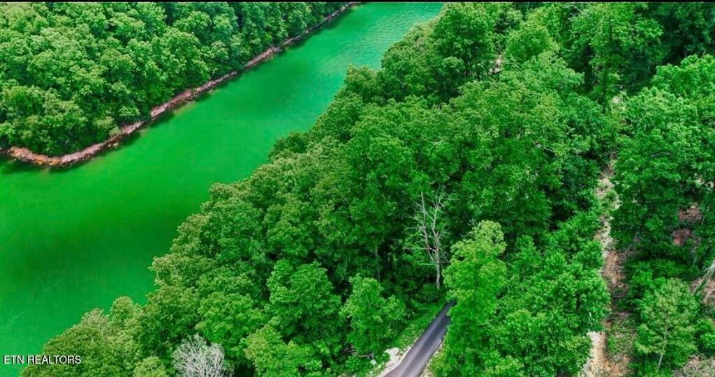 Photo of Hiawatha Lane, Caryville, TN 37714 (MLS # 1332707)