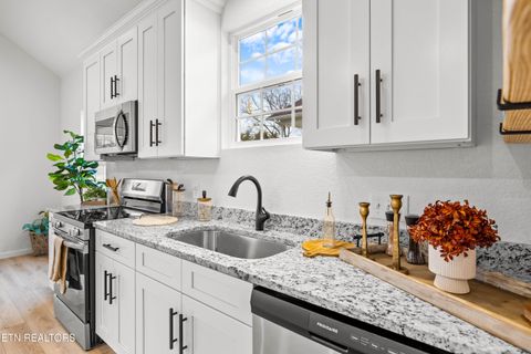 Tiny photo for 2508 Grotto Lane, Sevierville, TN 37876 (MLS # 1330074)