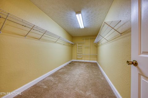 Tiny photo for 137 Meadowwood Rd, Newport, TN 37821 (MLS # 1319716)