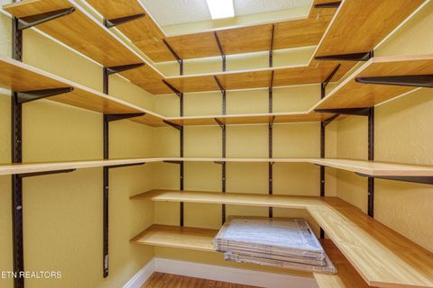 Tiny photo for 137 Meadowwood Rd, Newport, TN 37821 (MLS # 1319716)