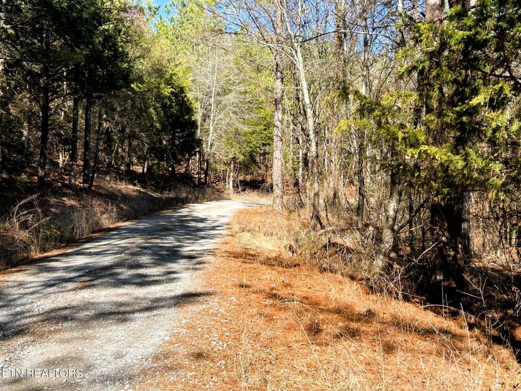Photo of 2 Redman Ridge Lane, Decatur, TN 37322 (MLS # 1291912)