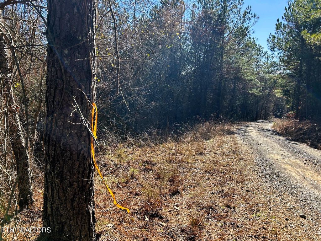 Photo of 2 Redman Ridge Lane, Decatur, TN 37322 (MLS # 1291912)