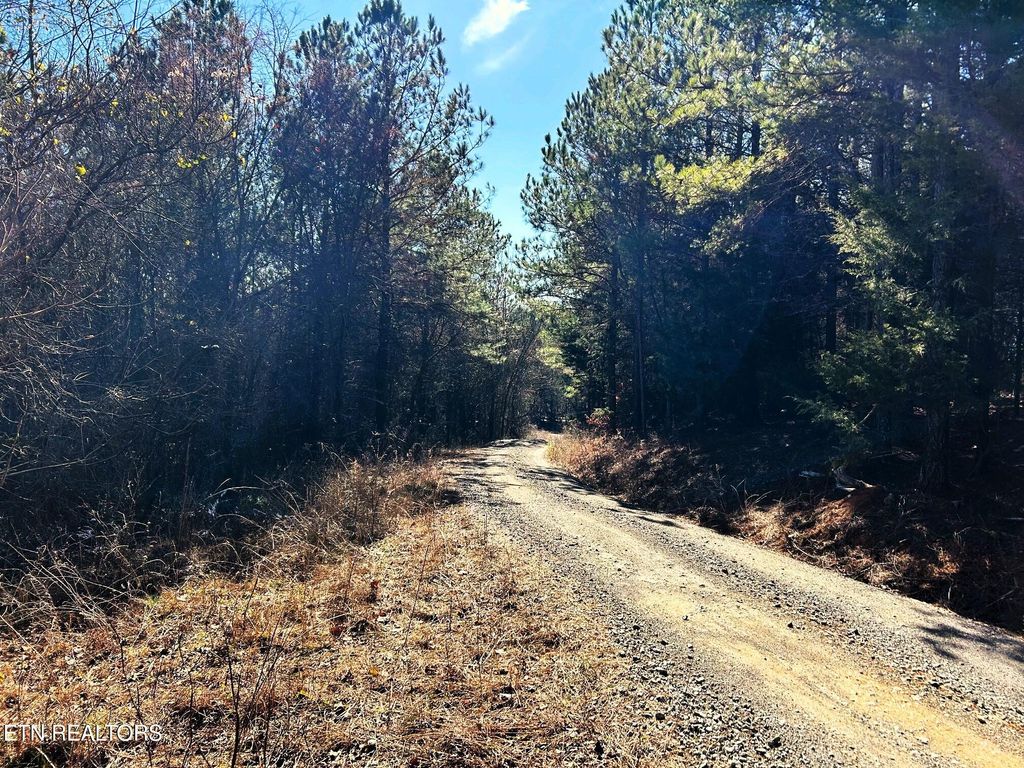 Photo of 2 Redman Ridge Lane, Decatur, TN 37322 (MLS # 1291912)