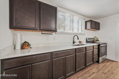 Tiny photo for 1908 Brice St, Knoxville, TN 37917 (MLS # 1325899)