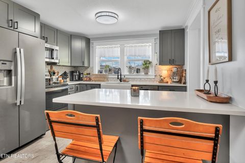 Tiny photo for 425 Sewanee St, Harriman, TN 37748 (MLS # 1333417)