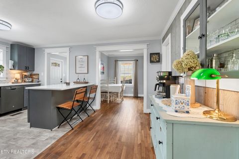 Tiny photo for 425 Sewanee St, Harriman, TN 37748 (MLS # 1333417)