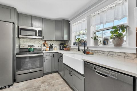 Tiny photo for 425 Sewanee St, Harriman, TN 37748 (MLS # 1333417)