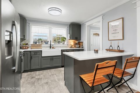 Tiny photo for 425 Sewanee St, Harriman, TN 37748 (MLS # 1333417)