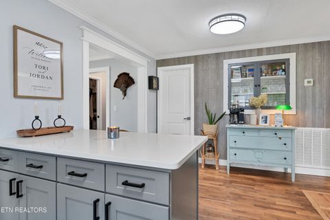 Tiny photo for 425 Sewanee St, Harriman, TN 37748 (MLS # 1333417)