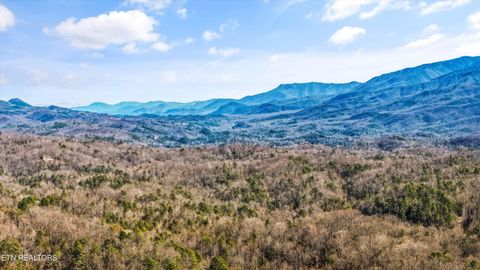 Tiny photo for 1009 Vista Drive, Gatlinburg, TN 37738 (MLS # 1330186)