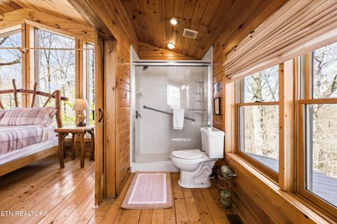 Tiny photo for 1009 Vista Drive, Gatlinburg, TN 37738 (MLS # 1330186)