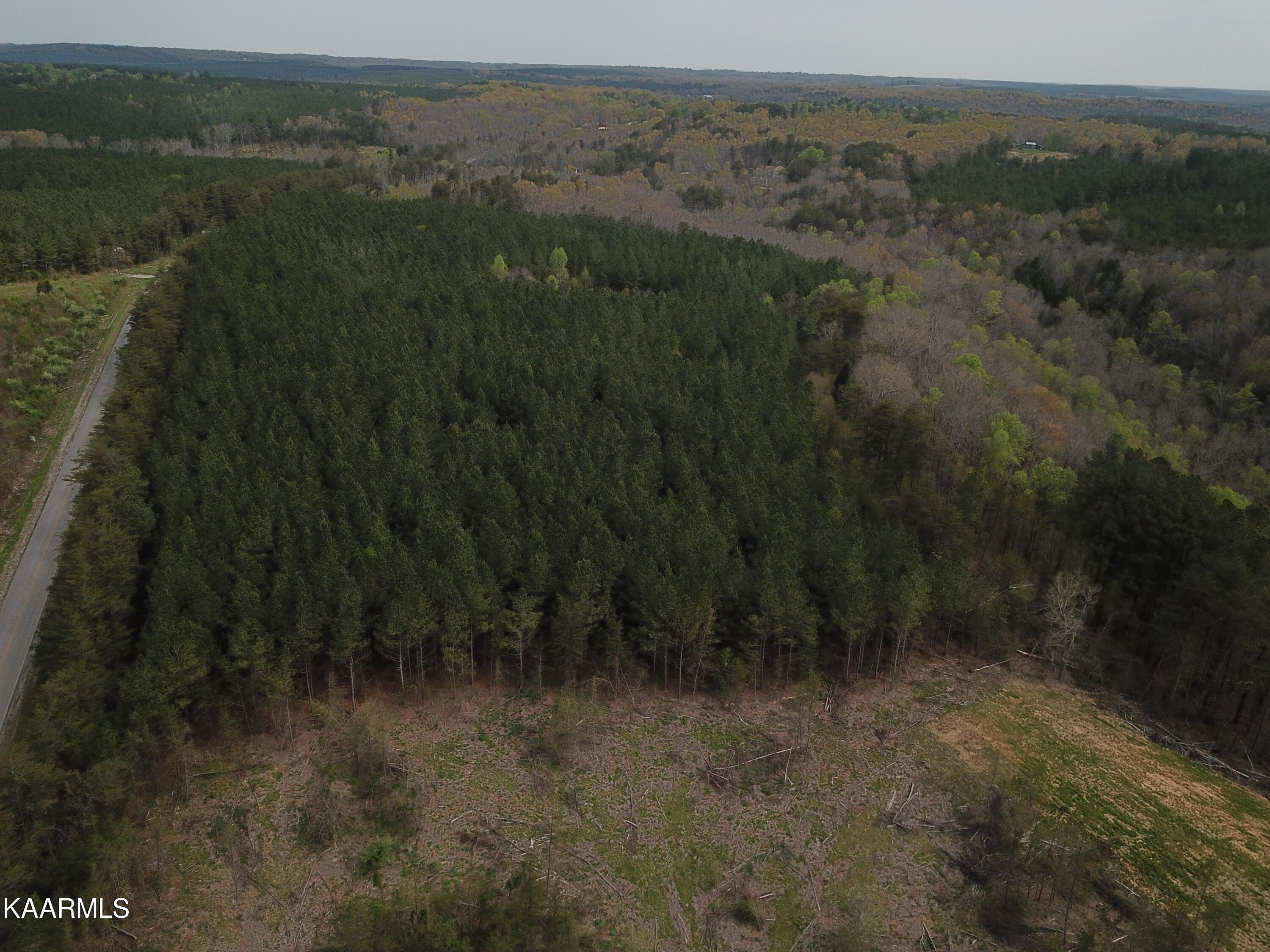 Photo 2 of 12 of Eastland Rd land