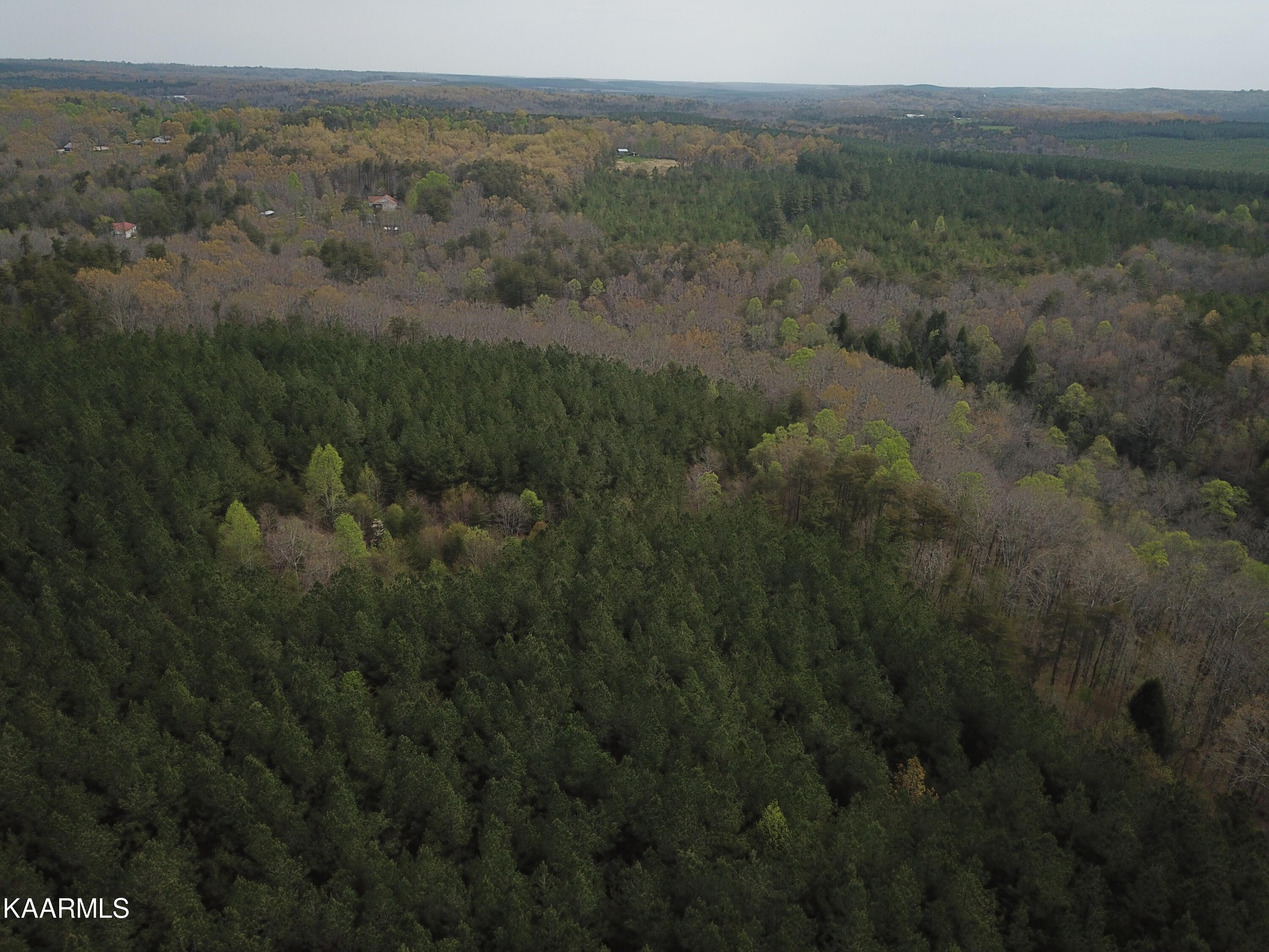 Photo 6 of 12 of Eastland Rd land