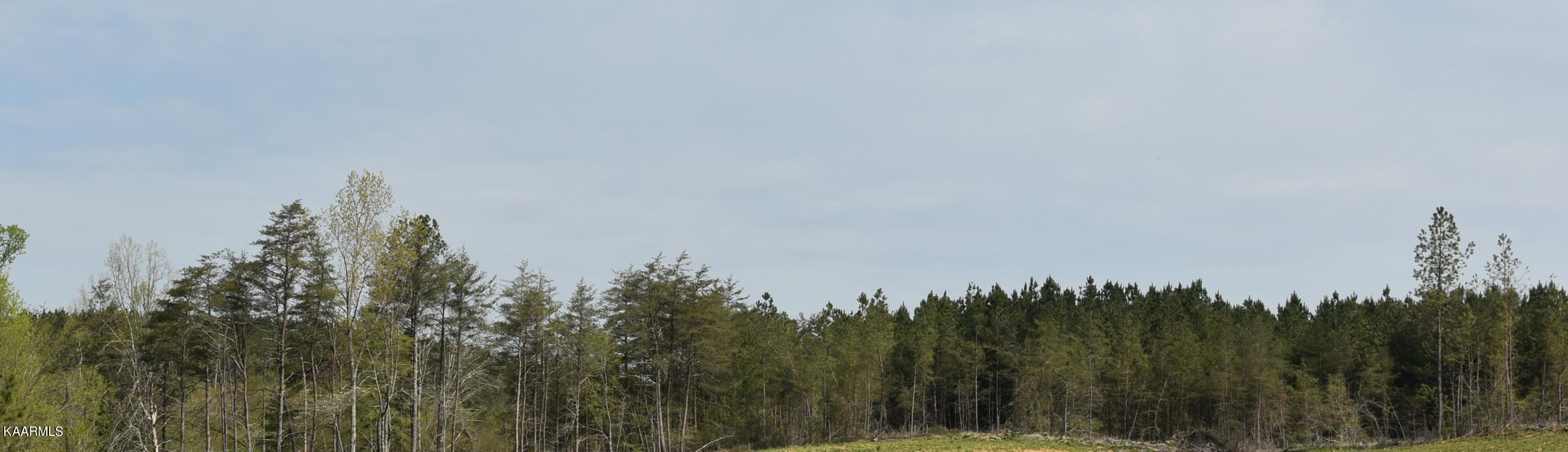 Photo 8 of 12 of Eastland Rd land