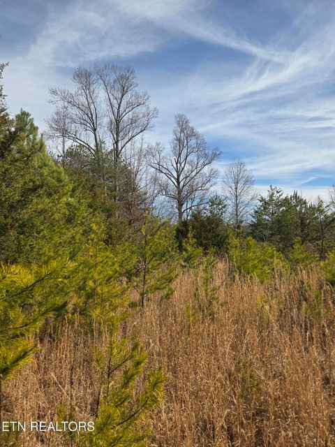 Tiny photo for County Road 660, Athens, TN 37303 (MLS # 1329862)