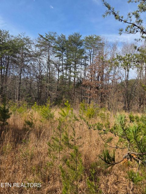 Tiny photo for County Road 660, Athens, TN 37303 (MLS # 1329862)