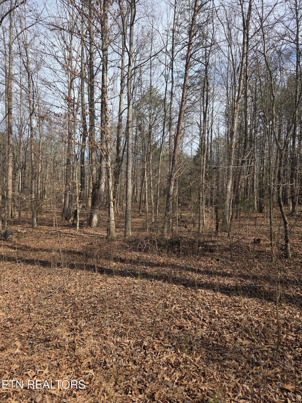 Photo of County Road 660, Athens, TN 37303 (MLS # 1329862)