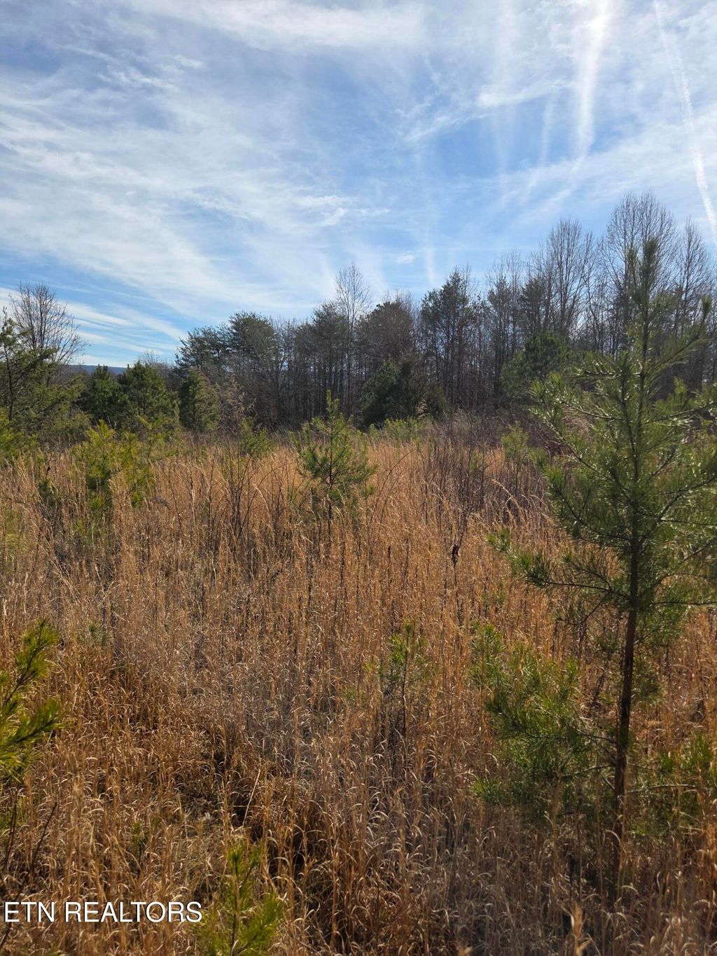 Photo of County Road 660, Athens, TN 37303 (MLS # 1329862)