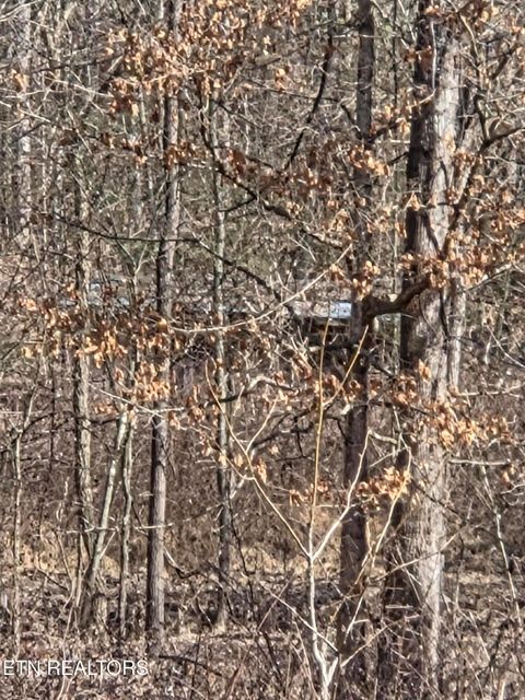 Tiny photo for County Road 660, Athens, TN 37303 (MLS # 1329862)