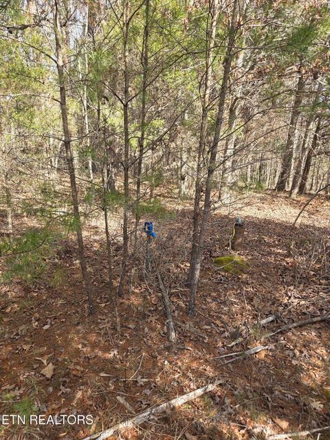 Tiny photo for County Road 660, Athens, TN 37303 (MLS # 1329862)