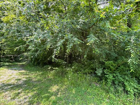 William Newport Rd Huntsville TN 37756