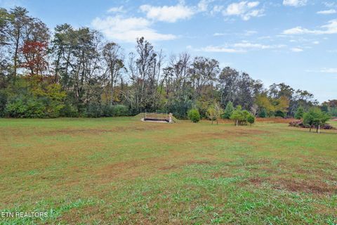 Tiny photo for 1095 Fuagte Rd, Evensville, TN 37332 (MLS # 1320656)