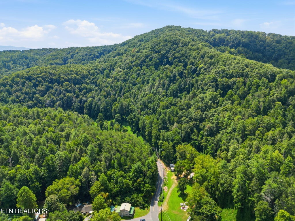 Photo of 3910 Wilhite Rd, Sevierville, TN 37876 (MLS # 1354090)
