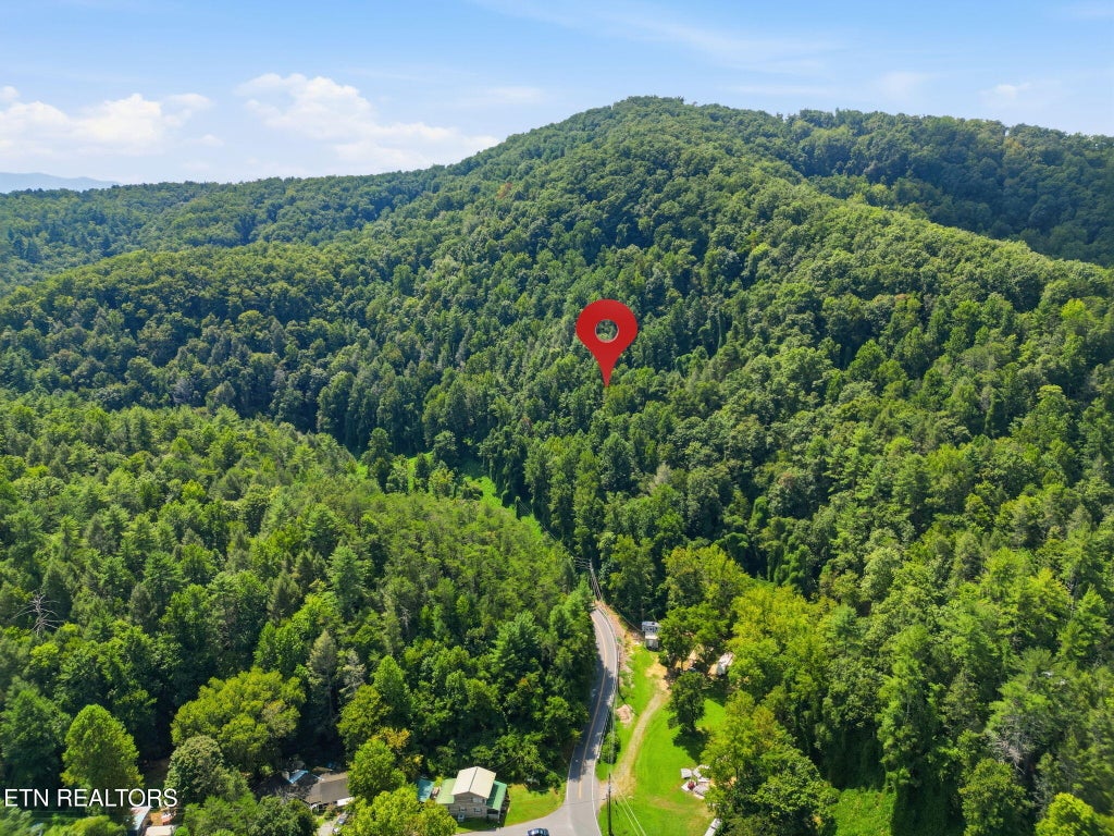 Photo of 3910 Wilhite Rd, Sevierville, TN 37876 (MLS # 1354090)