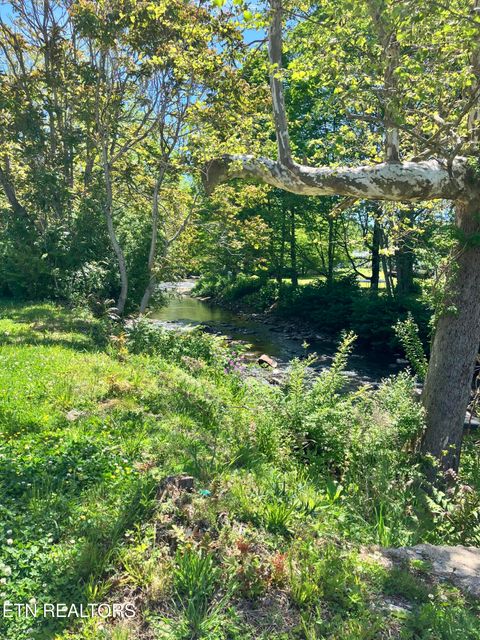 Tiny photo for 8260 Highway 19E, Roan Mountain, TN 37687 (MLS # 1340598)