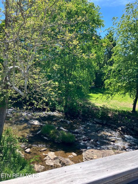 Tiny photo for 8260 Highway 19E, Roan Mountain, TN 37687 (MLS # 1340598)
