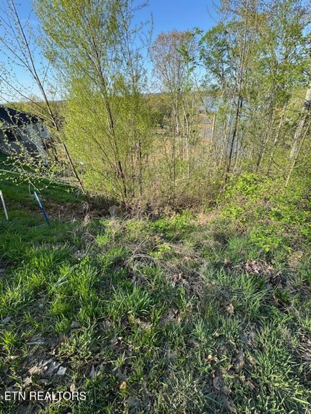 Photo of 133 W Point Drive, Dandridge, TN 37725 (MLS # 1296914)