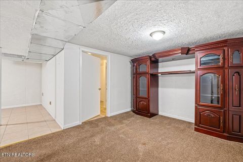 Tiny photo for 1178 Powell Valley Shores Circle, Speedwell, TN 37870 (MLS # 1337972)