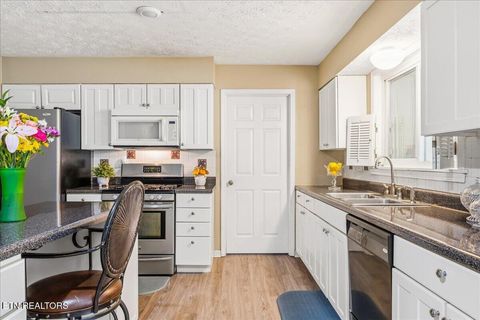 Tiny photo for 1178 Powell Valley Shores Circle, Speedwell, TN 37870 (MLS # 1337972)