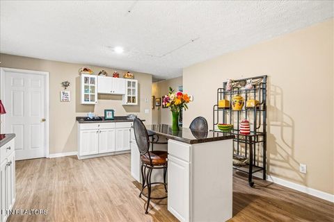 Tiny photo for 1178 Powell Valley Shores Circle, Speedwell, TN 37870 (MLS # 1337972)