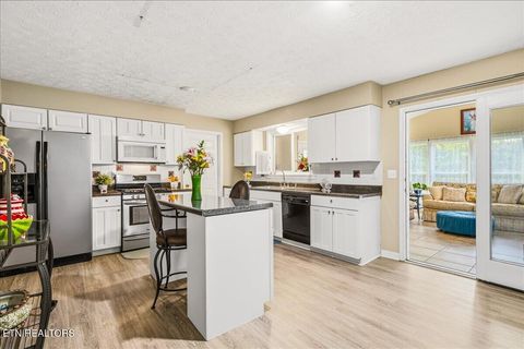 Tiny photo for 1178 Powell Valley Shores Circle, Speedwell, TN 37870 (MLS # 1337972)